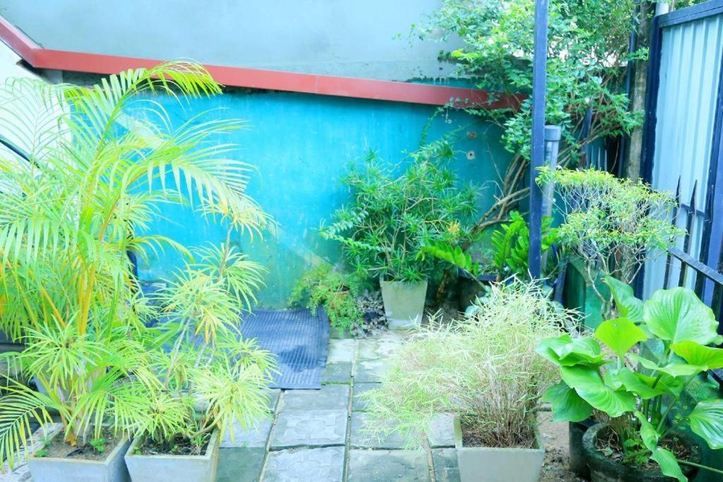Villa Surendra ウェリガマ エクステリア 写真